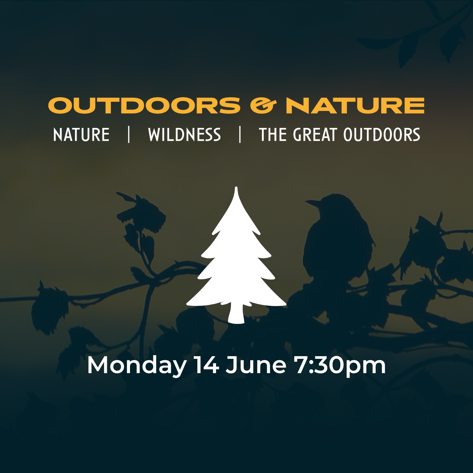 Zoom details:  outdoors and nature workshop monday 14 june 7:30pm